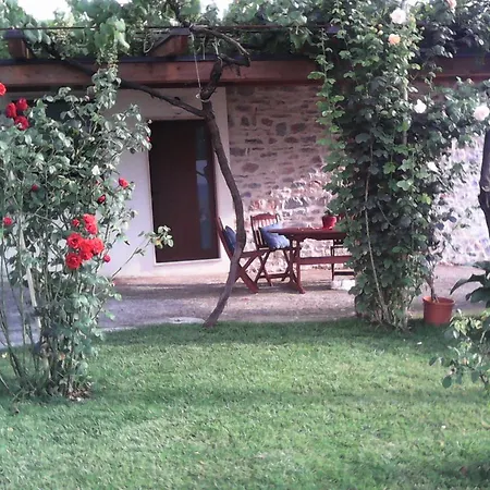 Il Viticcio *